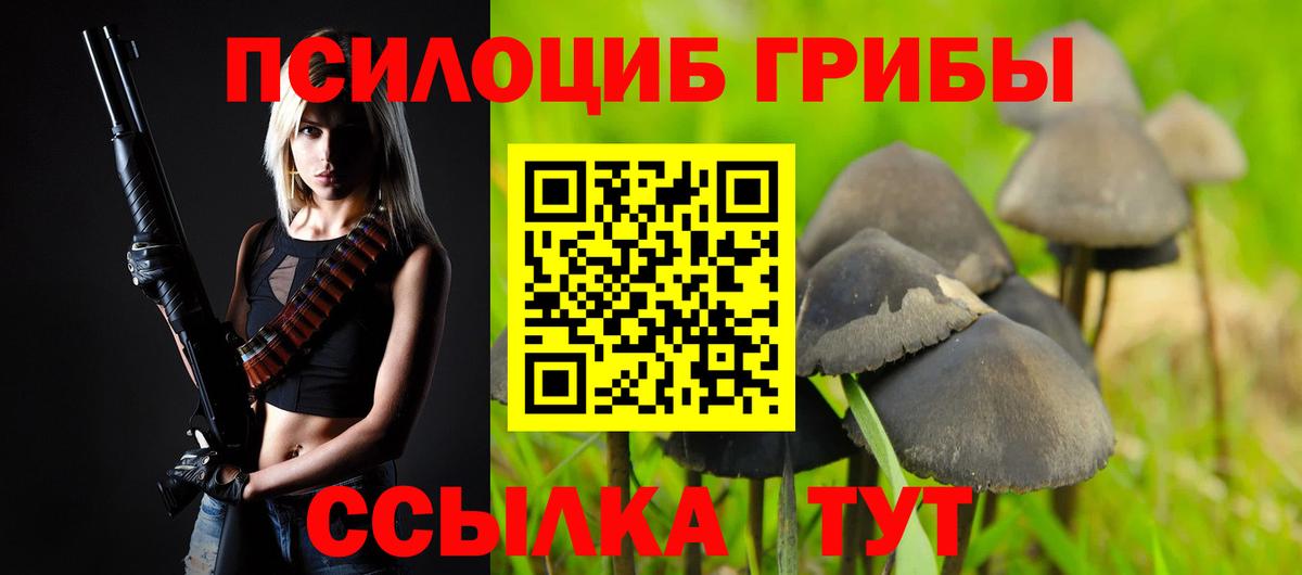 Галлюциногенные грибы MAGIC MUSHROOMS Новочебоксарск