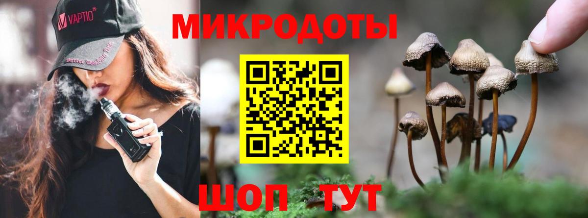 Галлюциногенные грибы MAGIC MUSHROOMS  Вход с VPN  сколько стоит  Новочебоксарск 