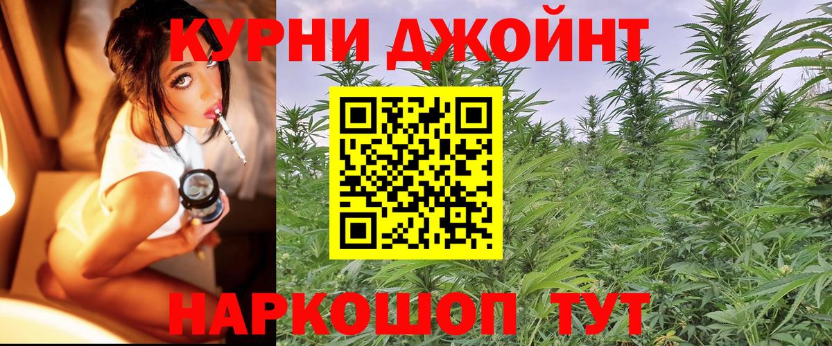Бошки марихуана планчик  Конопля тримм  Шишки марихуана индика  Вход с VPN  Новочебоксарск 